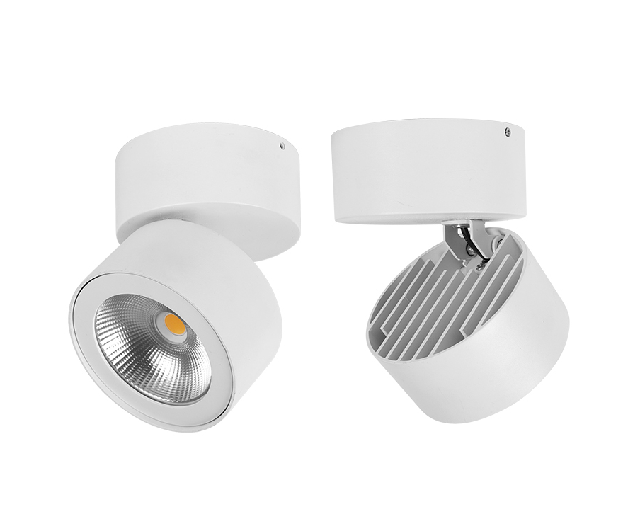 MAĞAZALAR ÜÇÜN DEKORATİV LED SPOT 20W  220V