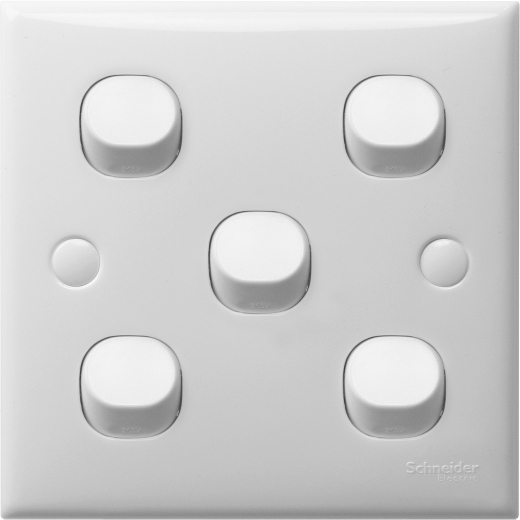 SCHNEİDER  S-Classic - 250V 10A  5