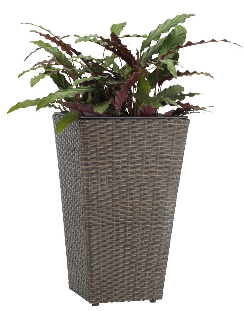 6419100 Dibçək BLOMMOR 